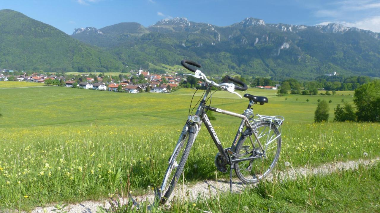 Wirtshaus Zum Baumbach Hotel Aschau im Chiemgau Luaran gambar